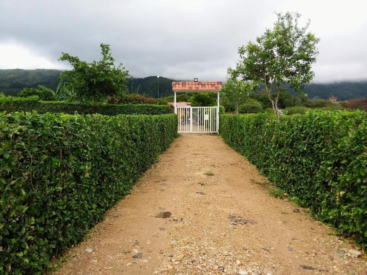 Bed and Breakfast C&H Casa Campestre El Oasis Ricaurte Girardot Zewnętrze zdjęcie