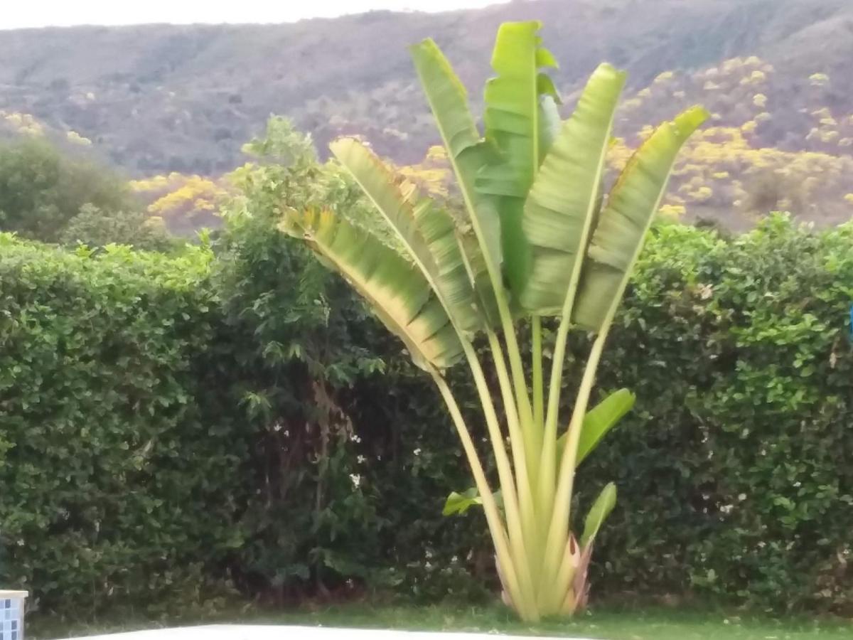 Bed and Breakfast C&H Casa Campestre El Oasis Ricaurte Girardot Zewnętrze zdjęcie